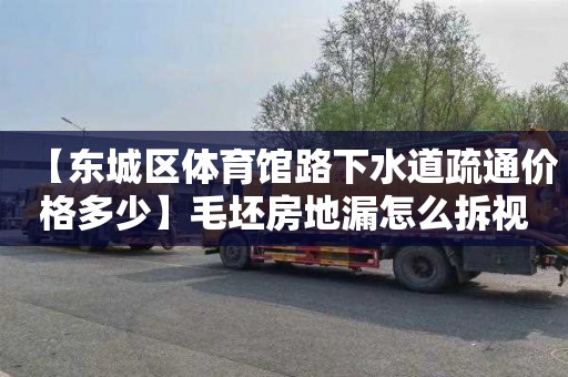 【东城区体育馆路下水道疏通价格多少】毛坯房地漏怎么拆视频