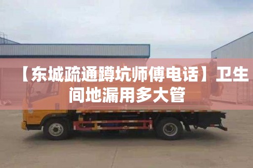 【东城疏通蹲坑师傅电话】卫生间地漏用多大管