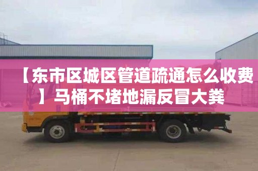 【东市区城区管道疏通怎么收费】马桶不堵地漏反冒大粪