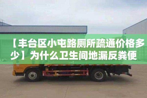 【丰台区小屯路厕所疏通价格多少】为什么卫生间地漏反粪便