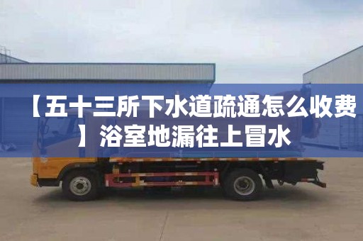 【五十三所下水道疏通怎么收费】浴室地漏往上冒水