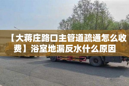 【大蒋庄路口主管道疏通怎么收费】浴室地漏反水什么原因