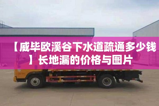 【威毕欧溪谷下水道疏通多少钱】长地漏的价格与图片