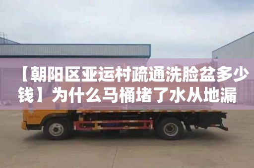 【朝阳区亚运村疏通洗脸盆多少钱】为什么马桶堵了水从地漏里出来