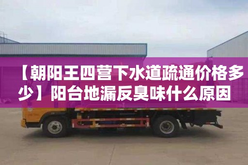 【朝阳王四营下水道疏通价格多少】阳台地漏反臭味什么原因