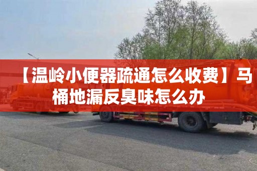 【温岭小便器疏通怎么收费】马桶地漏反臭味怎么办