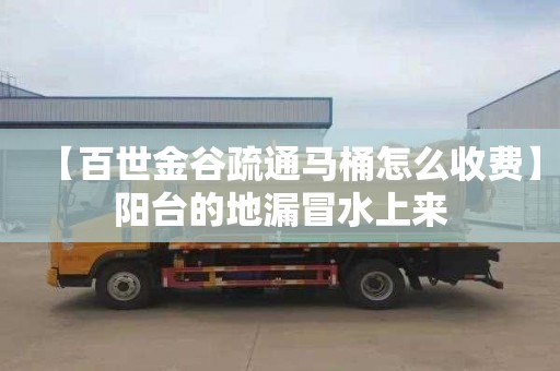 【百世金谷疏通马桶怎么收费】阳台的地漏冒水上来