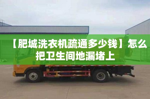 【肥城洗衣机疏通多少钱】怎么把卫生间地漏堵上