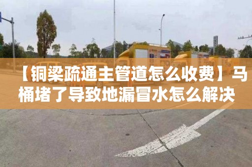 【铜梁疏通主管道怎么收费】马桶堵了导致地漏冒水怎么解决