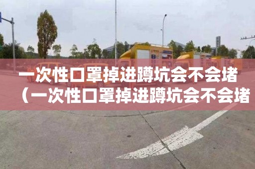 一次性口罩掉进蹲坑会不会堵（一次性口罩掉进蹲坑会不会堵住）