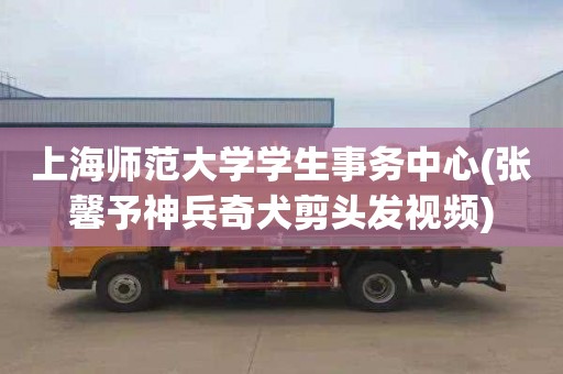 上海师范大学学生事务中心(张馨予神兵奇犬剪头发视频)