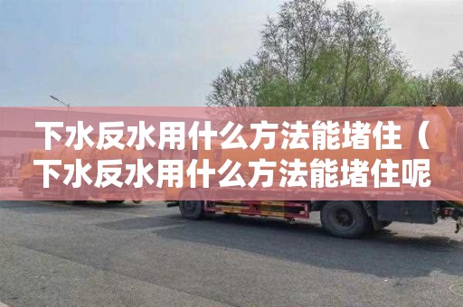 下水反水用什么方法能堵住（下水反水用什么方法能堵住呢）