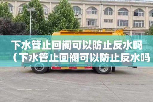 下水管止回阀可以防止反水吗（下水管止回阀可以防止反水吗视频）