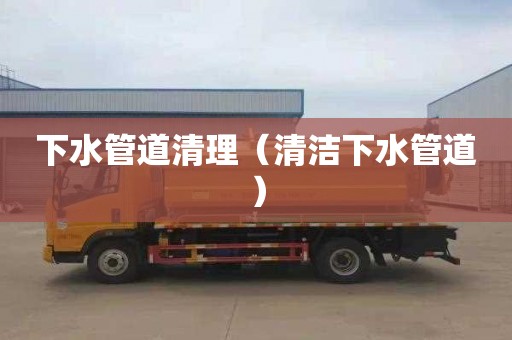 下水管道清理（清洁下水管道）
