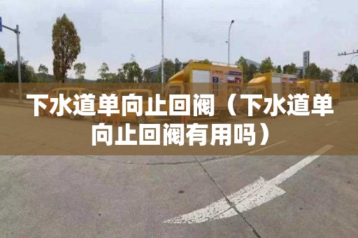 下水道单向止回阀（下水道单向止回阀有用吗）