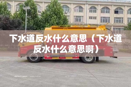 下水道反水什么意思（下水道反水什么意思啊）