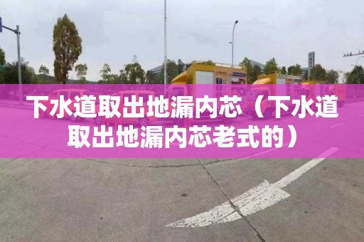 下水道取出地漏内芯（下水道取出地漏内芯老式的）