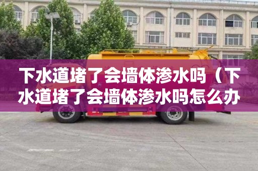 下水道堵了会墙体渗水吗（下水道堵了会墙体渗水吗怎么办）