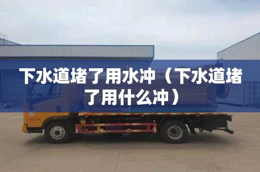 下水道堵了用水冲（下水道堵了用什么冲）