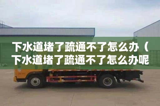 下水道堵了疏通不了怎么办（下水道堵了疏通不了怎么办呢）