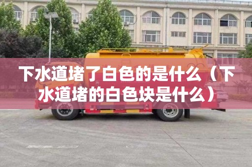 下水道堵了白色的是什么（下水道堵的白色块是什么）