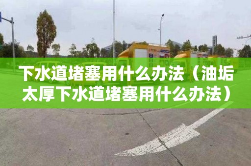 下水道堵塞用什么办法（油垢太厚下水道堵塞用什么办法）