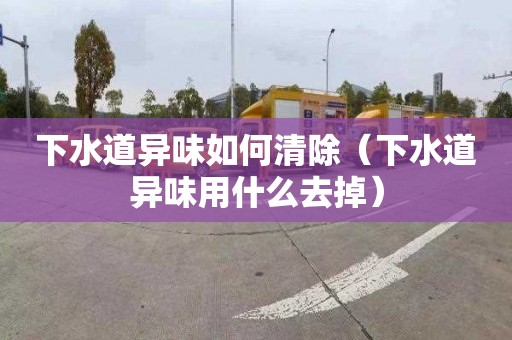 下水道异味如何清除（下水道异味用什么去掉）