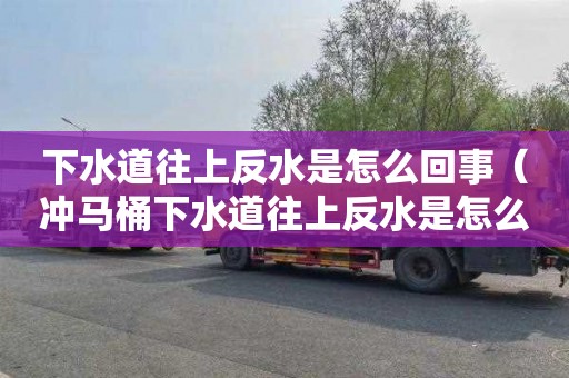 下水道往上反水是怎么回事（冲马桶下水道往上反水是怎么回事）