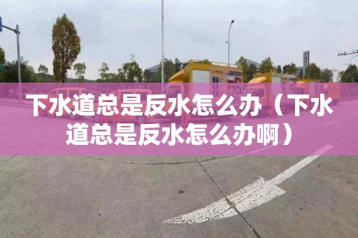 下水道总是反水怎么办（下水道总是反水怎么办啊）