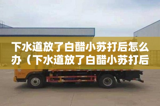 下水道放了白醋小苏打后怎么办（下水道放了白醋小苏打后怎么办呢）