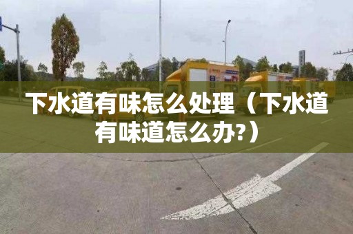 下水道有味怎么处理（下水道有味道怎么办?）