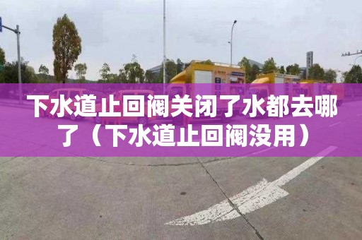 下水道止回阀关闭了水都去哪了（下水道止回阀没用）