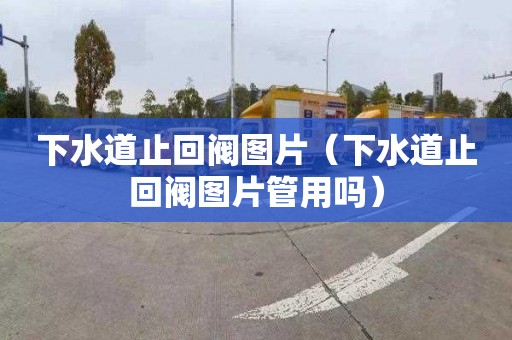 下水道止回阀图片（下水道止回阀图片管用吗）