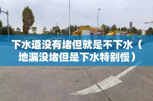 下水道没有堵但就是不下水（地漏没堵但是下水特别慢）