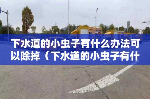 下水道的小虫子有什么办法可以除掉（下水道的小虫子有什么办法可以除掉吗）
