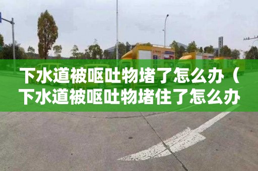 下水道被呕吐物堵了怎么办（下水道被呕吐物堵住了怎么办）