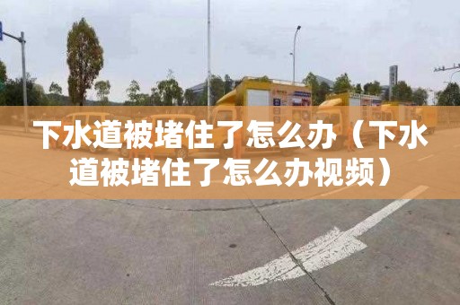 下水道被堵住了怎么办（下水道被堵住了怎么办视频）