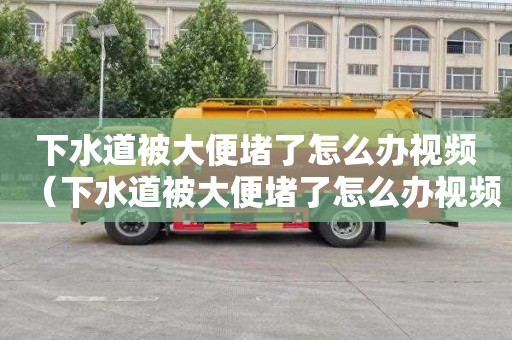 下水道被大便堵了怎么办视频（下水道被大便堵了怎么办视频讲解）