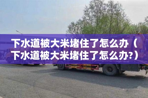 下水道被大米堵住了怎么办（下水道被大米堵住了怎么办?）