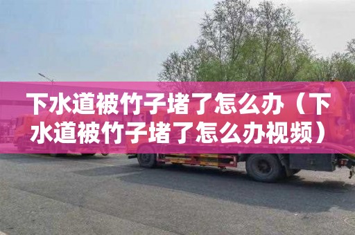 下水道被竹子堵了怎么办（下水道被竹子堵了怎么办视频）