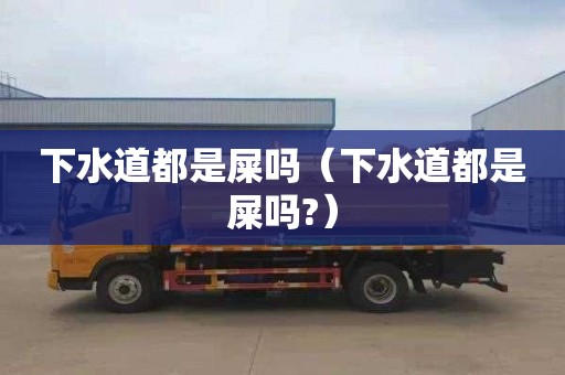 下水道都是屎吗（下水道都是屎吗?）