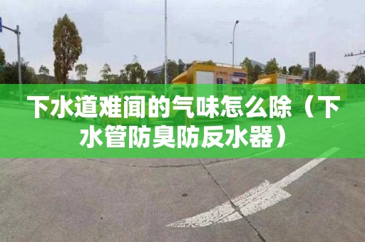 下水道难闻的气味怎么除（下水管防臭防反水器）