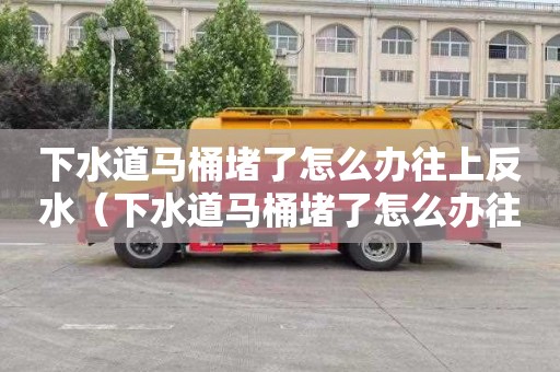 下水道马桶堵了怎么办往上反水（下水道马桶堵了怎么办往上反水了）