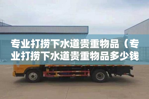 专业打捞下水道贵重物品（专业打捞下水道贵重物品多少钱）