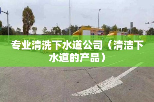 专业清洗下水道公司（清洁下水道的产品）