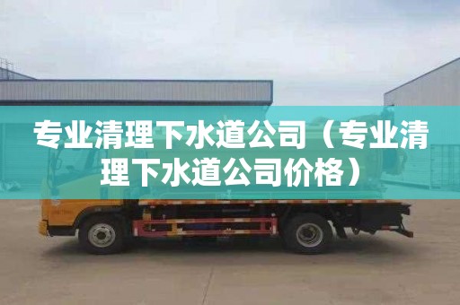 专业清理下水道公司（专业清理下水道公司价格）