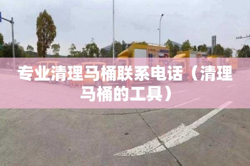 专业清理马桶联系电话（清理马桶的工具）