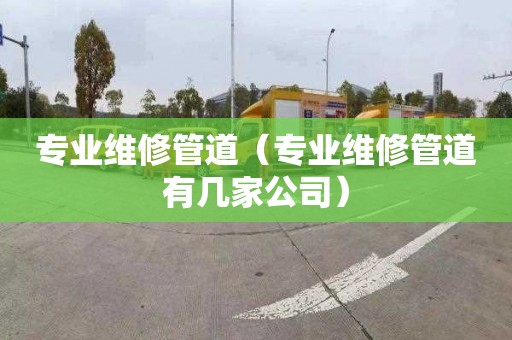 专业维修管道（专业维修管道有几家公司）