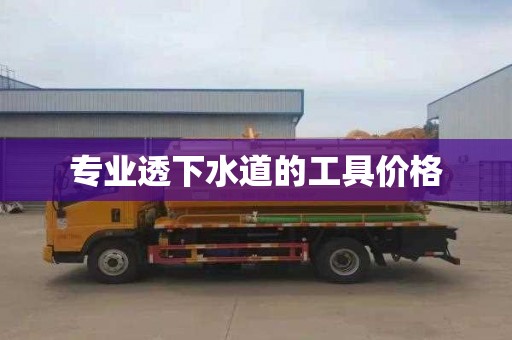 专业透下水道的工具价格