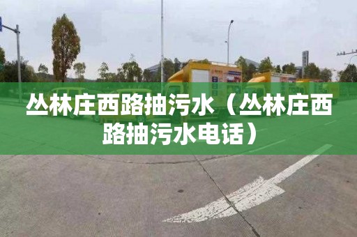 丛林庄西路抽污水（丛林庄西路抽污水电话）